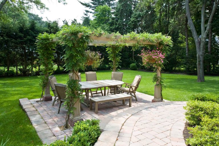 Outdoor Green Plant Guide1