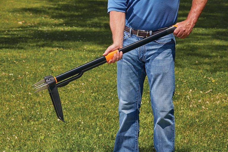 The Role Of The Weeder2